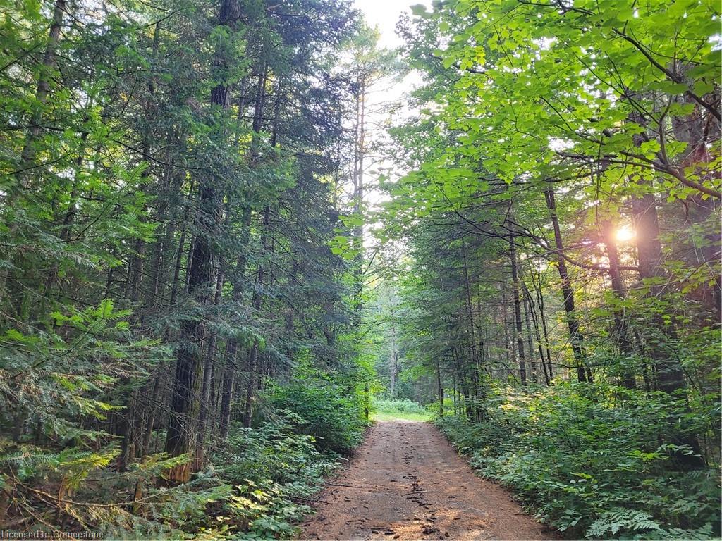 41-4727 Elephant Lake Road Property Photo 15