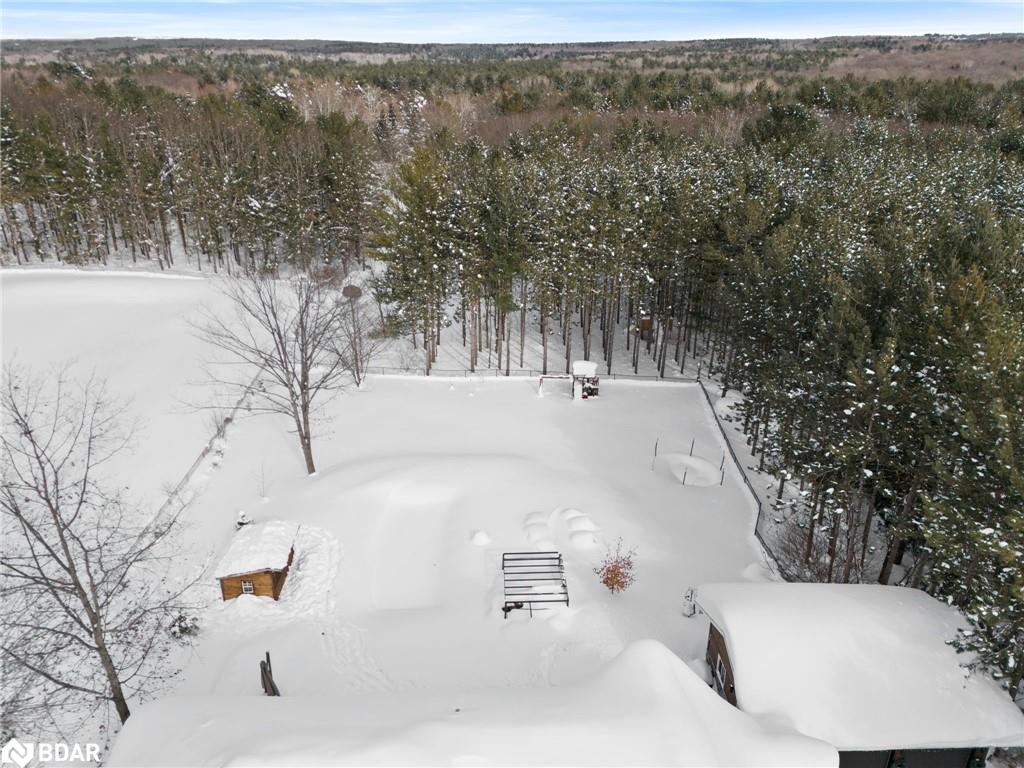 4019 Jilem Court Property Photo 39