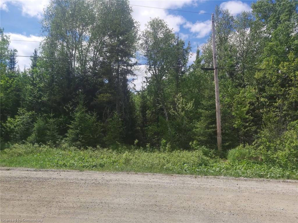 N/a Nepewassi Lake Road Property Photo