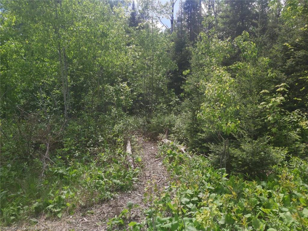 N/a Nepewassi Lake Road Property Photo 3
