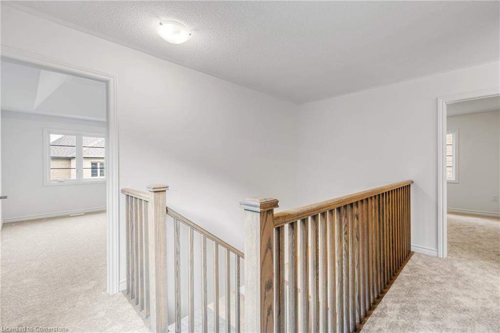8 Daisy Street Property Photo 20