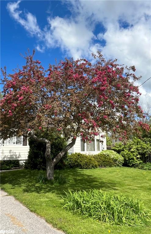 28 Adelaide Street Property Photo 31