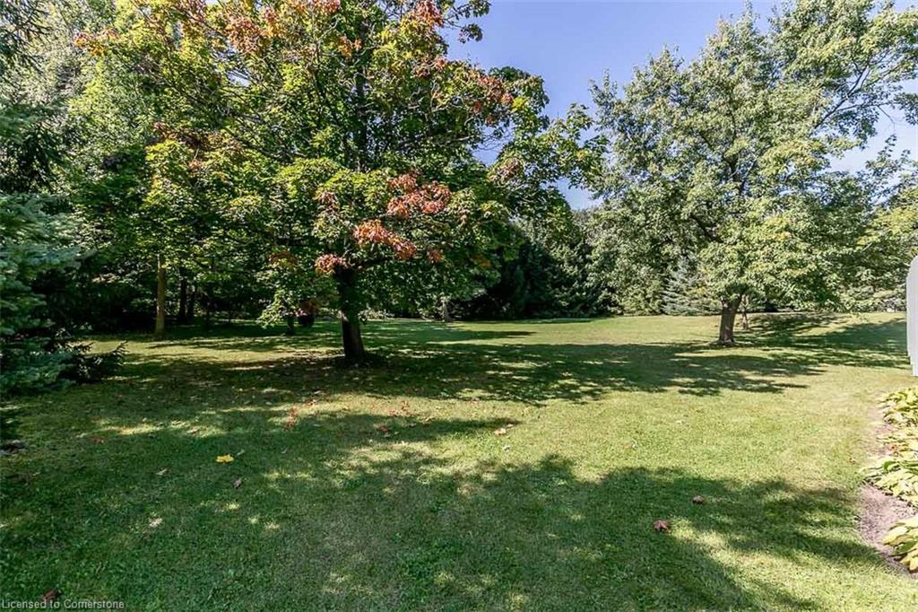 8 Hilltop Crescent Property Photo 35