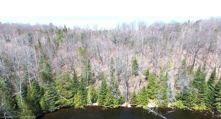 0 Contau Lake Road Property Photo 5