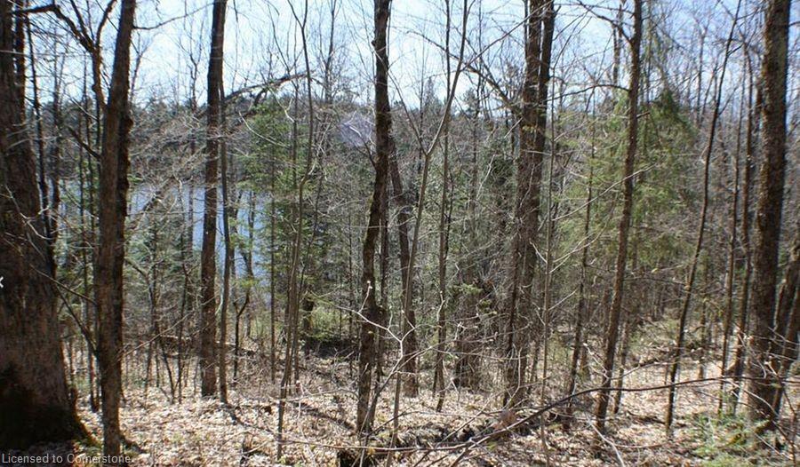 0 Contau Lake Road Property Photo 6