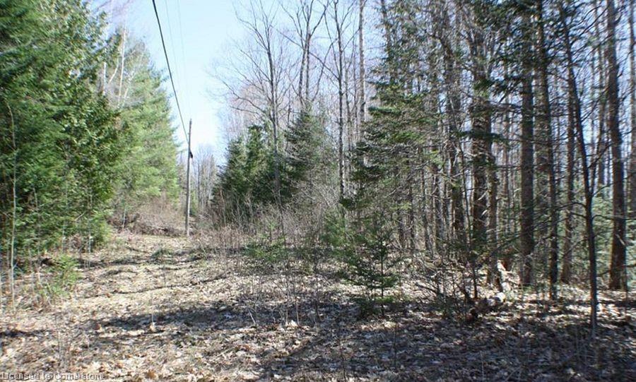 0 Contau Lake Road Property Photo 7