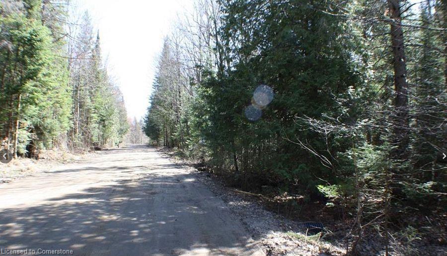 0 Contau Lake Road Property Photo 8