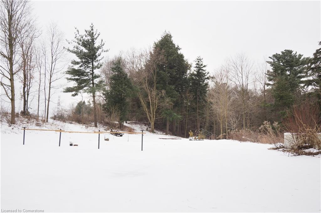 3191 Windham West Quarter Line Road Property Photo 48