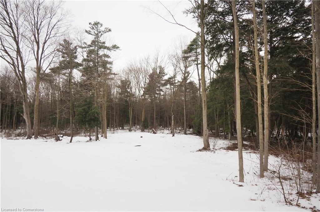 3191 Windham West Quarter Line Road Property Photo 49