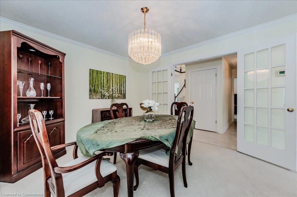 15 Trelawney Street Property Photo 13