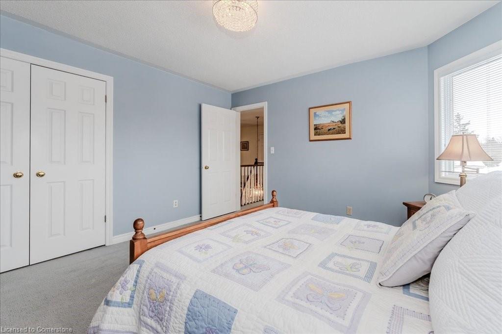 15 Trelawney Street Property Photo 23