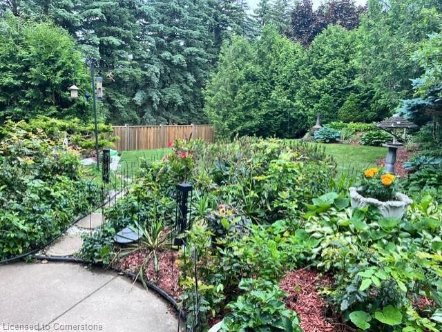 15 Trelawney Street Property Photo 47
