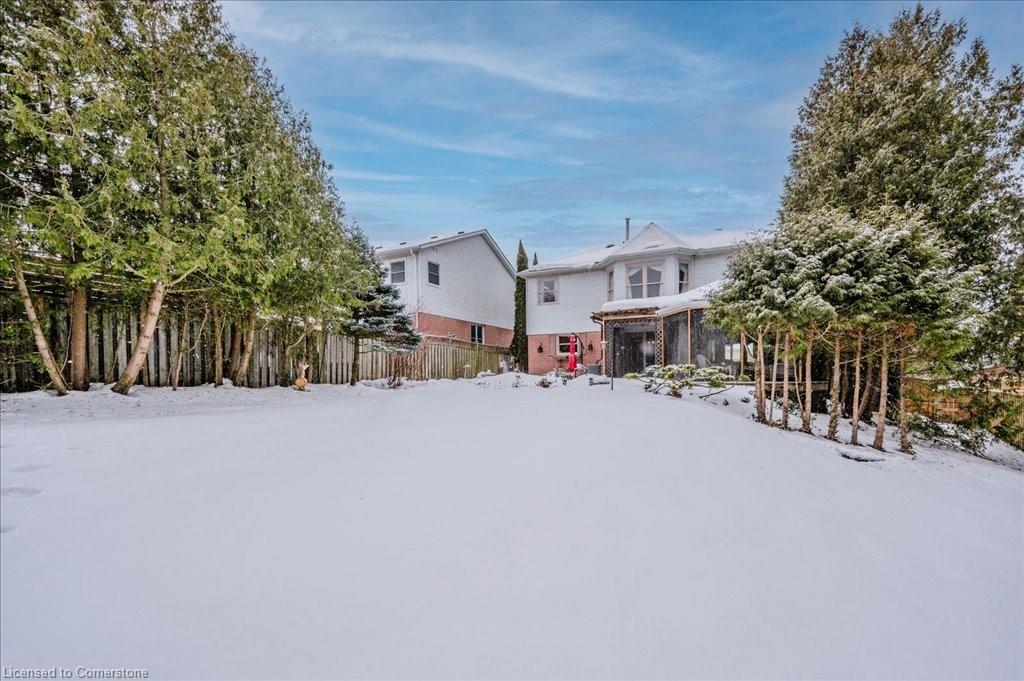 15 Trelawney Street Property Photo 48