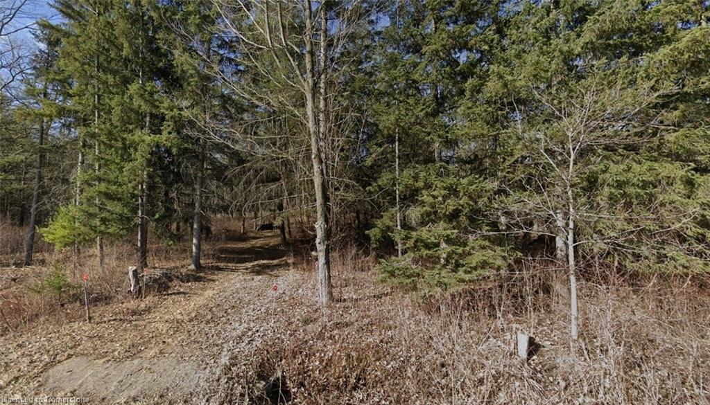Pt Lt H Shellard Road Property Photo 5