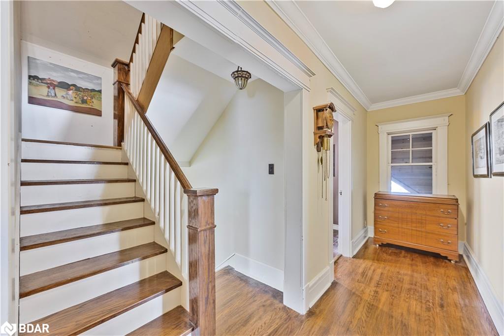 54 Nelson Street Property Photo 31