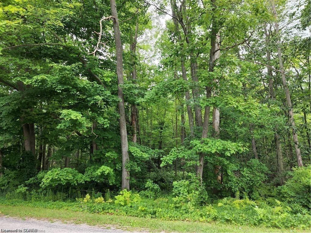 Rural Charlotteville Real Estate Listings Main Image