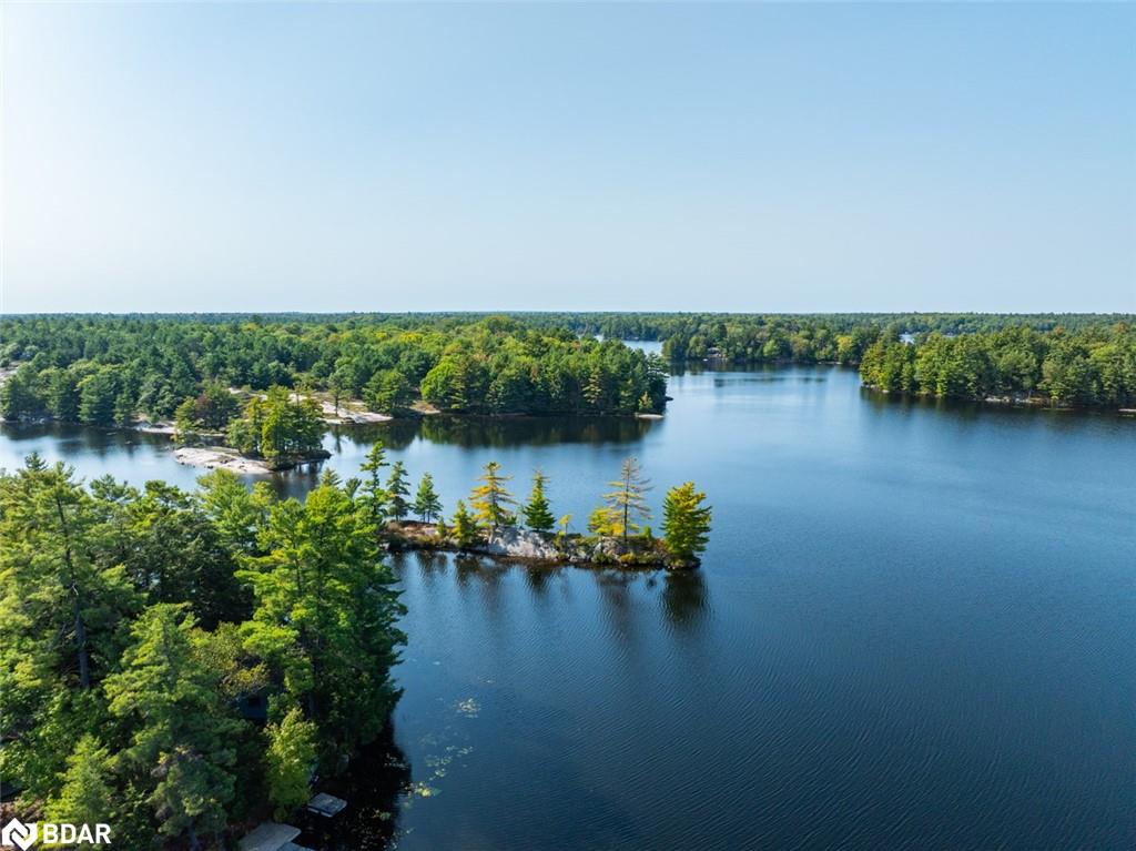 431 Healey Lake Water Drive Property Photo 4