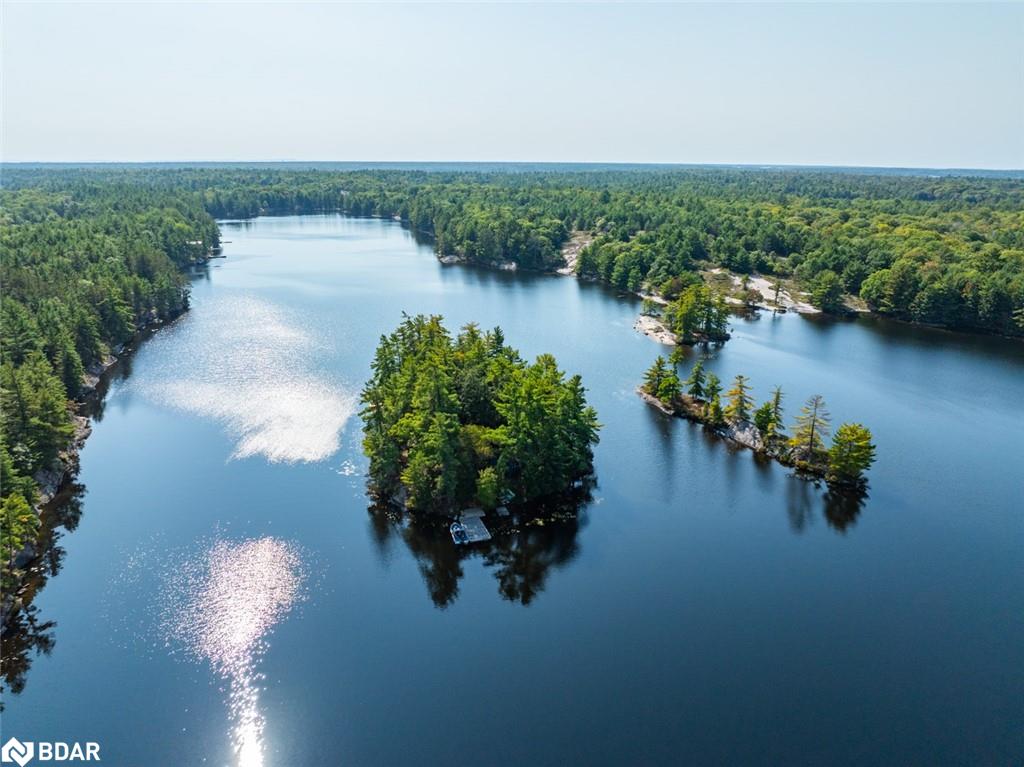 431 Healey Lake Water Drive Property Photo 32