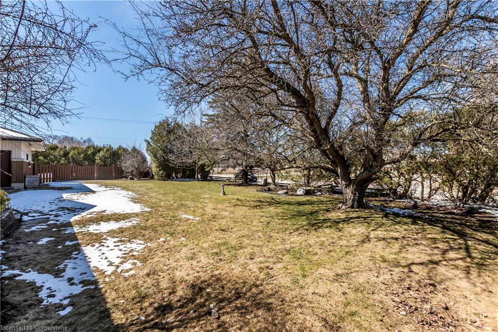 11 Lloyd Street Property Photo 43