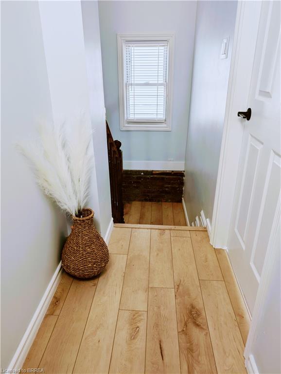52 Dalkeith Avenue Property Photo 19