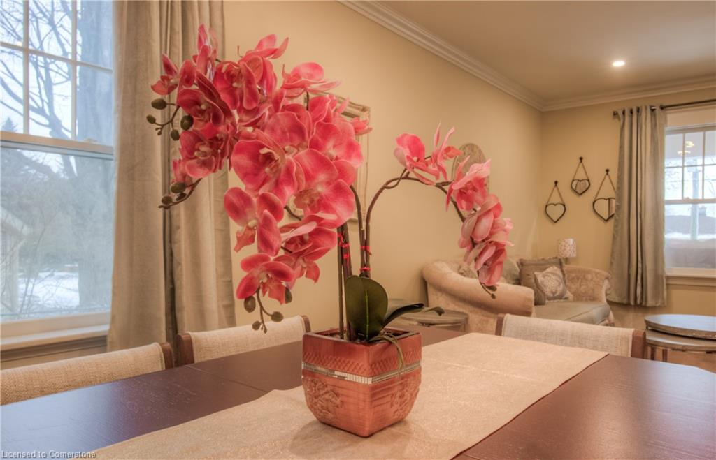 11 Tutela Heights Road Property Photo 15