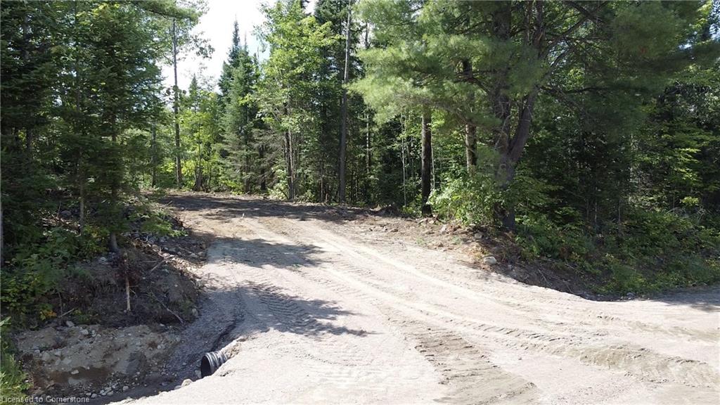 Lot 11 Concession 6 Rd Property Photo 3