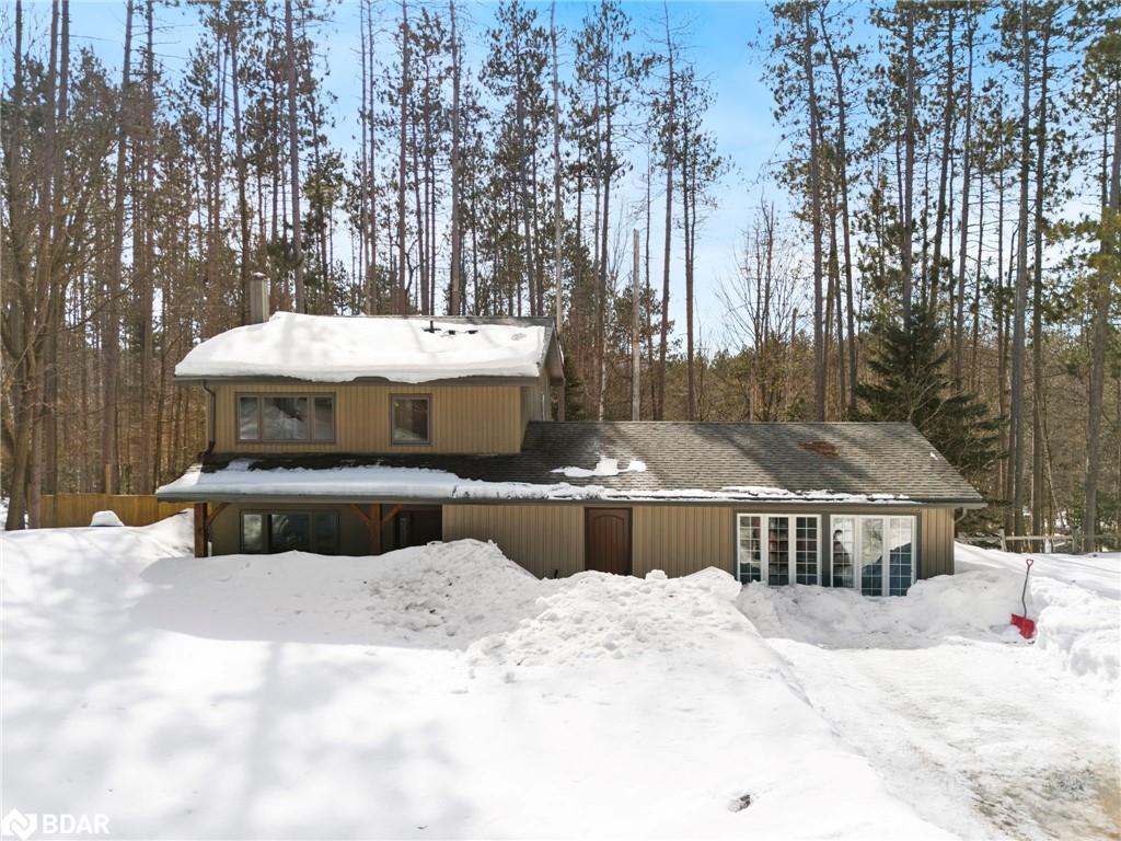 1 Pine Spring Property Photo