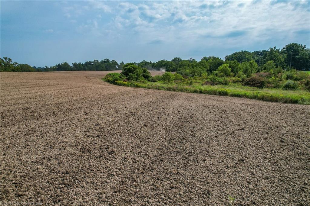 Pt Lt 23 River Road Property Photo 19