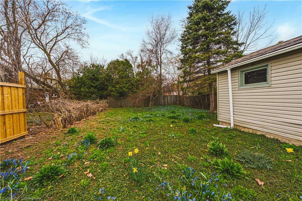 70 Hillview Street Property Photo 34