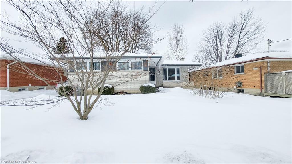 11 Duncairn Avenue Property Photo