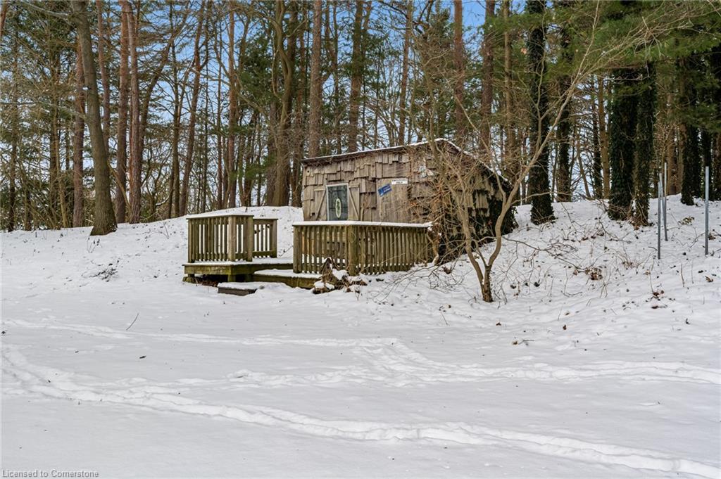 250 Radical Road Property Photo 7