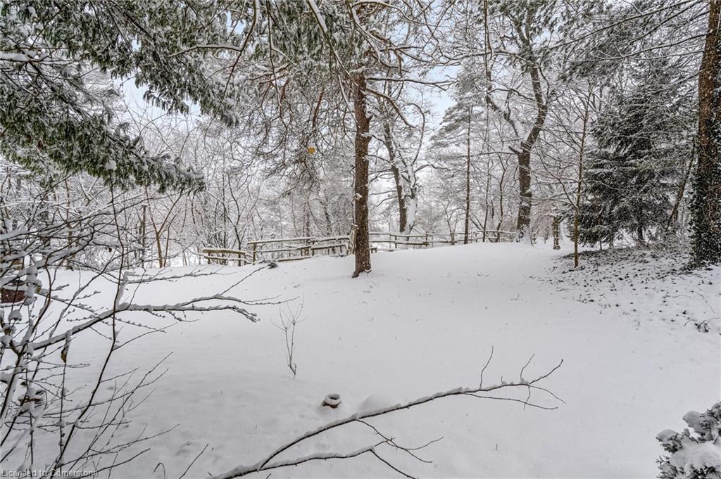 250 Radical Road Property Photo 41