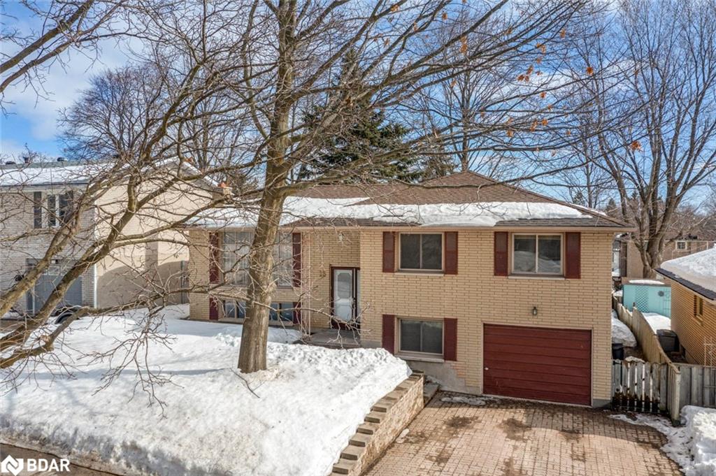 13 Roslyn Road Property Photo