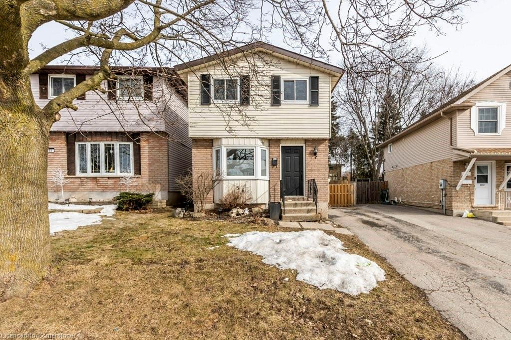 36 Carter Crescent Property Photo