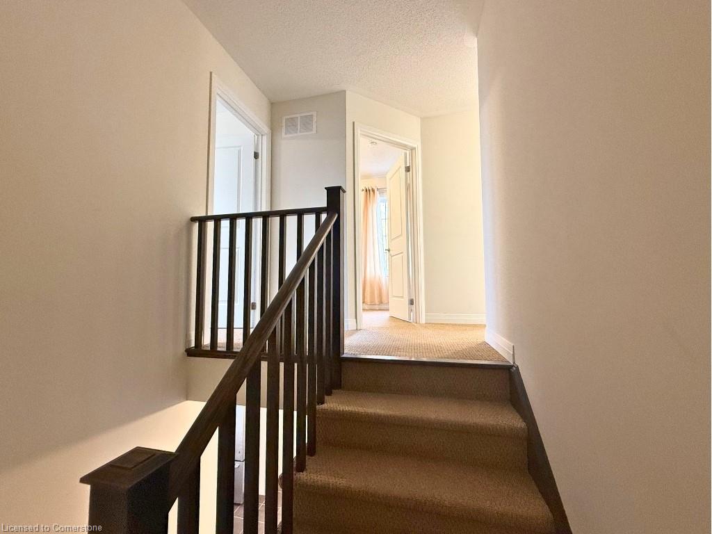 4085 Fracchioni Drive Property Photo 9