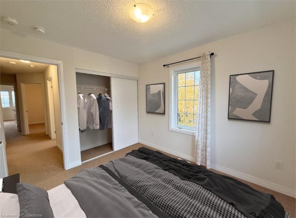 4085 Fracchioni Drive Property Photo 17