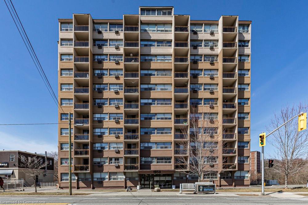 113 Ainslie Wood Real Estate Listings Main Image