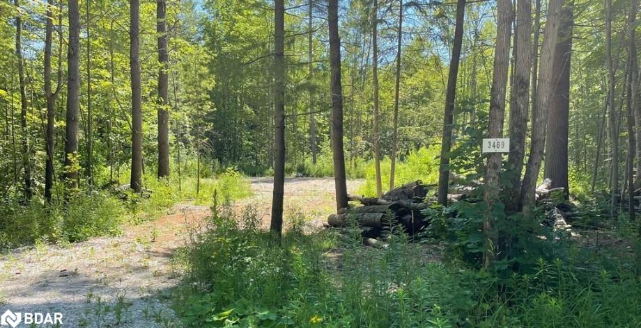 Washago Real Estate Listings Main Image