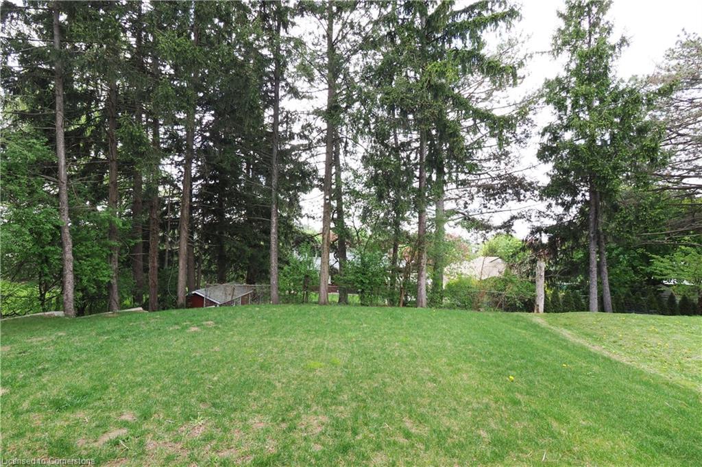 35 Belmont Avenue W Property Photo 21