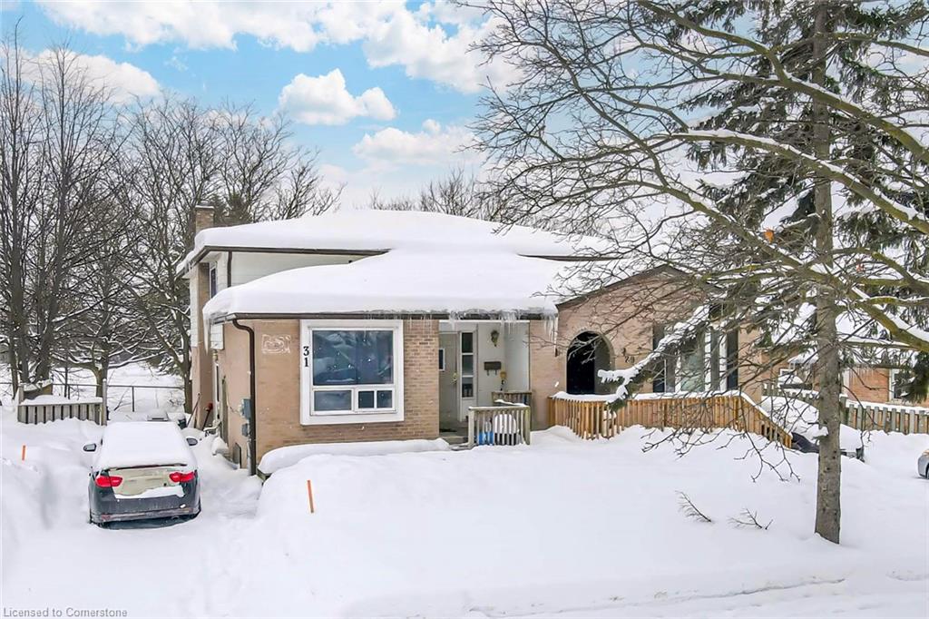 31 Sylvia Street Property Photo