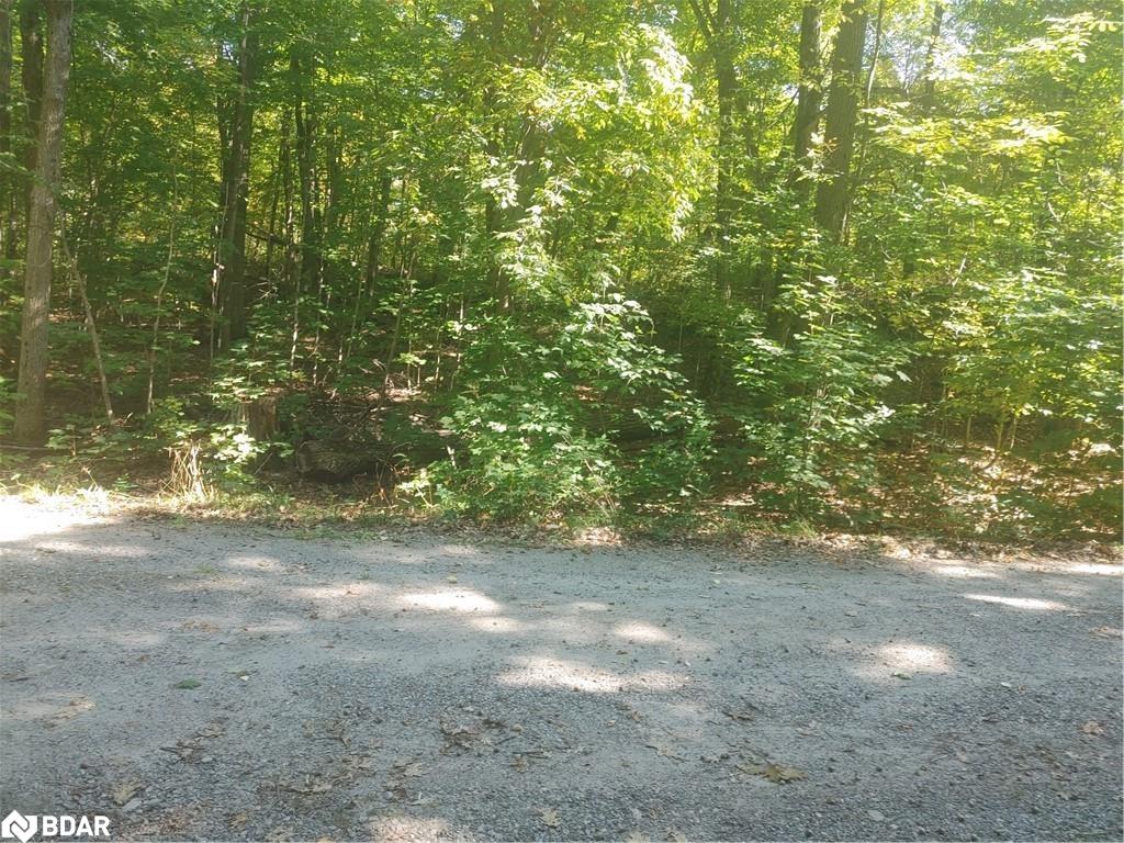 N/a Johnston Road Property Photo