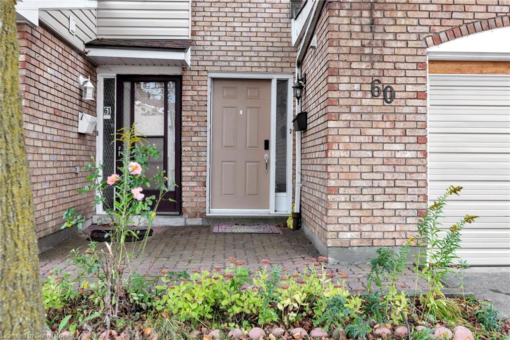 60-11 Harrisford Street Property Photo 4