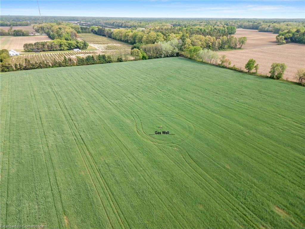 N/a Turkey Point Road Property Photo 10
