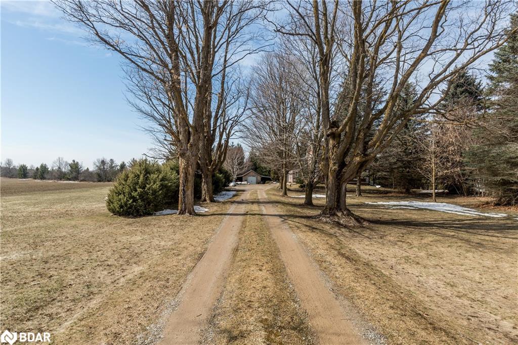 557472 Mulmur Melancthon Townline Townline Property Photo 3