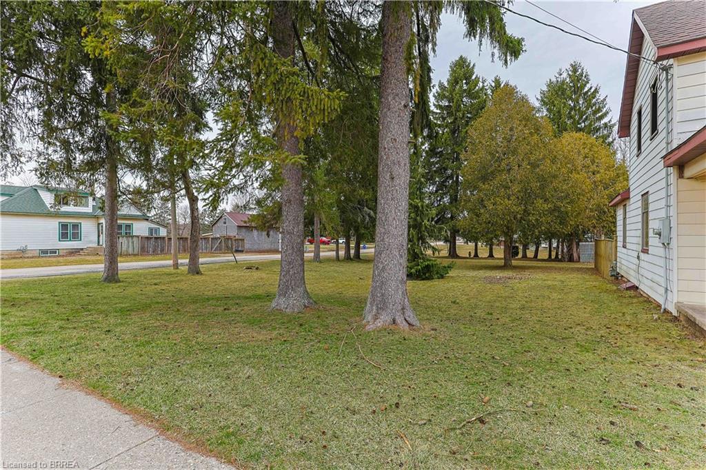 25 Dufferin Street Property Photo 29