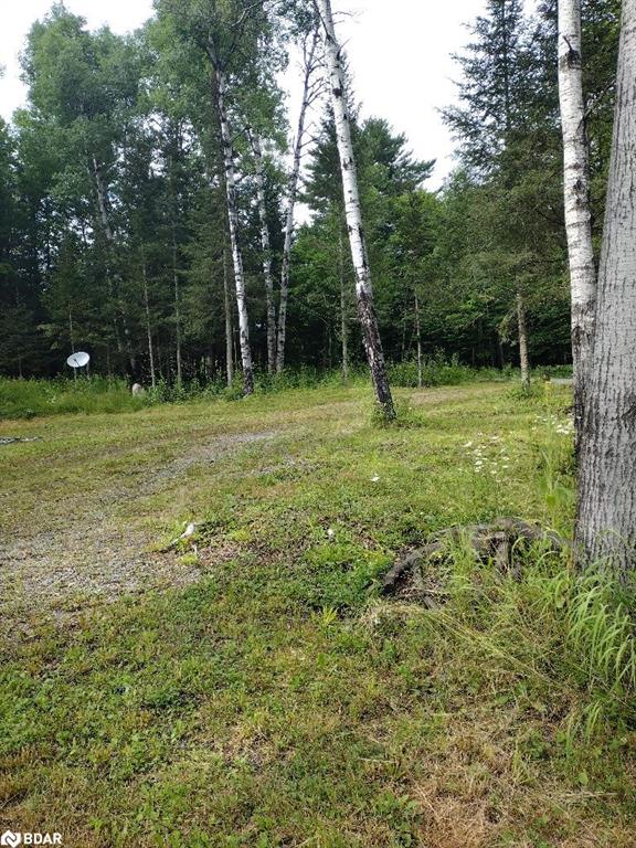 1106 Commanda Lake Road Road Property Photo 10