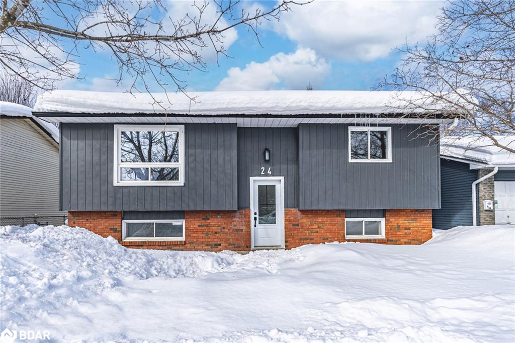 24 Shannon Street Property Photo