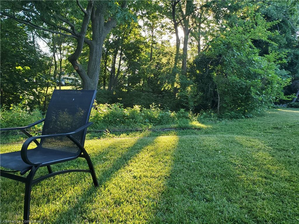 33 Rosedale Avenue Property Photo 31