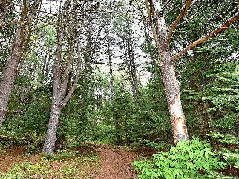 Lot # 3 Burke Road Property Photo 3