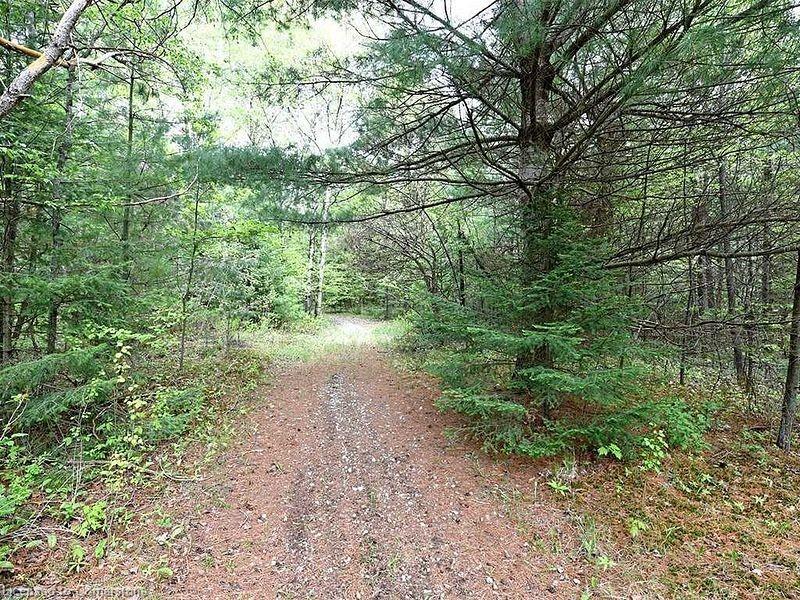 Lot # 3 Burke Road Property Photo 5